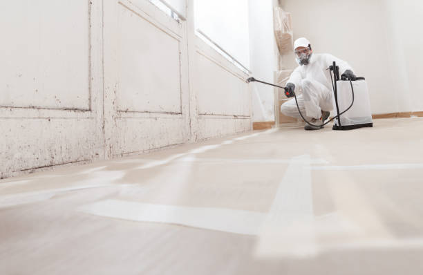 24/7 Emergency Mold Remediation experts in Shrewsbury, NJ