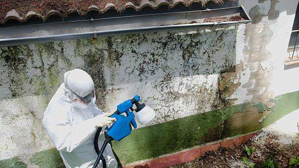 Top rated local Mold Remediation specialists in Shrewsbury, NJ